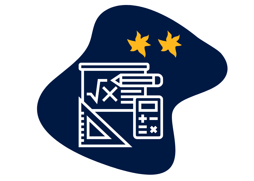 CAMBRIDGE YEAR 11 MATHS METHODS visual data 8